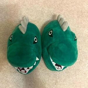 Adorable dinosaur slippers!